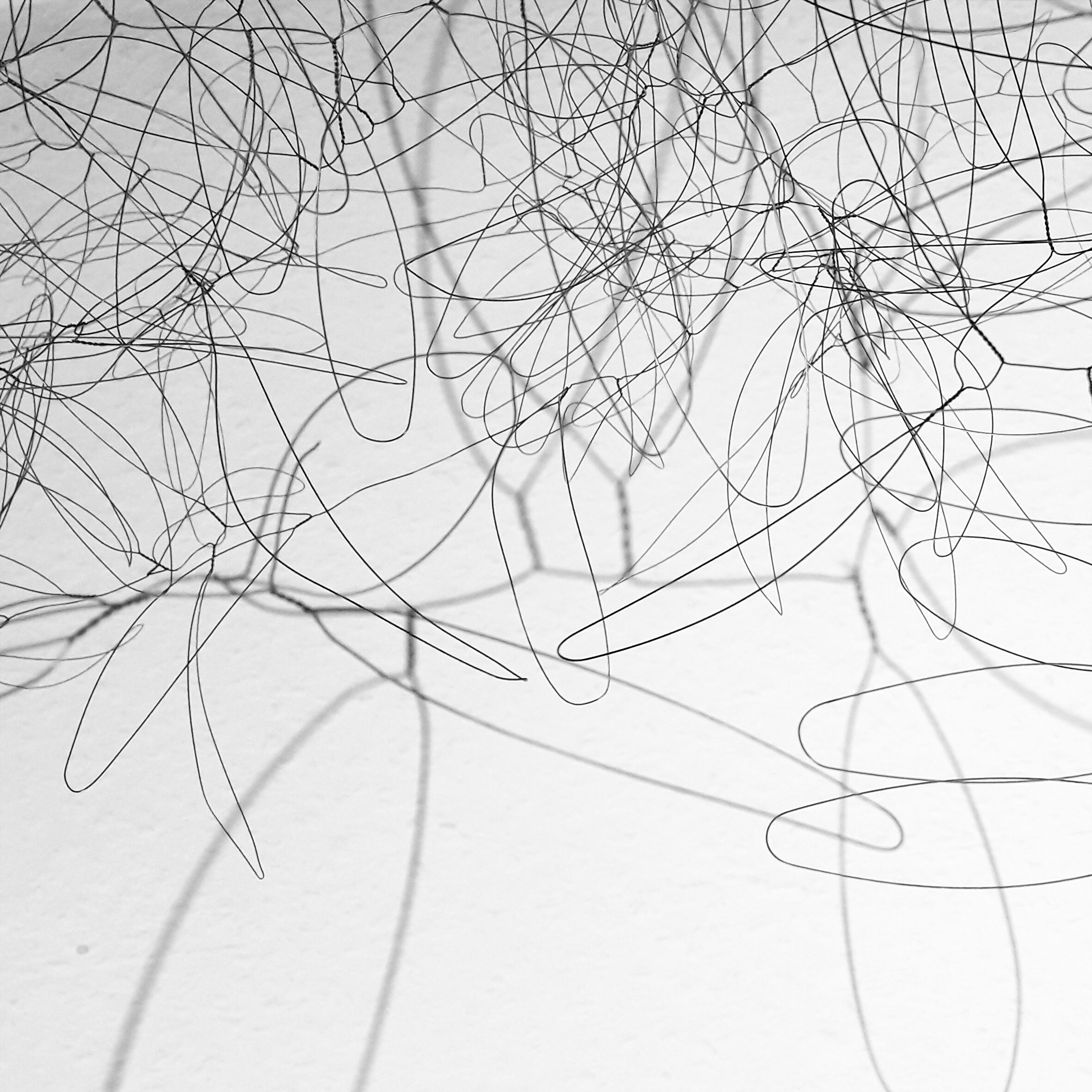 l Detail - rebe